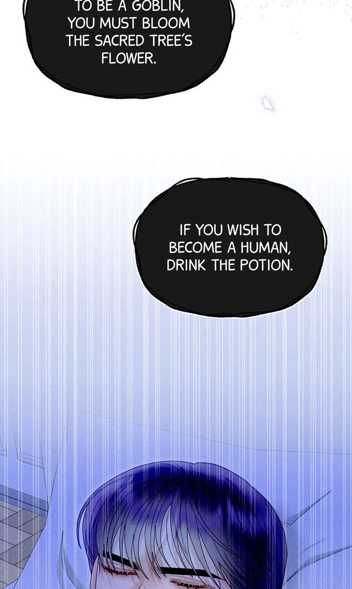 Sorang's Flower Art Shop【Official】 Chapter 38 - page 79