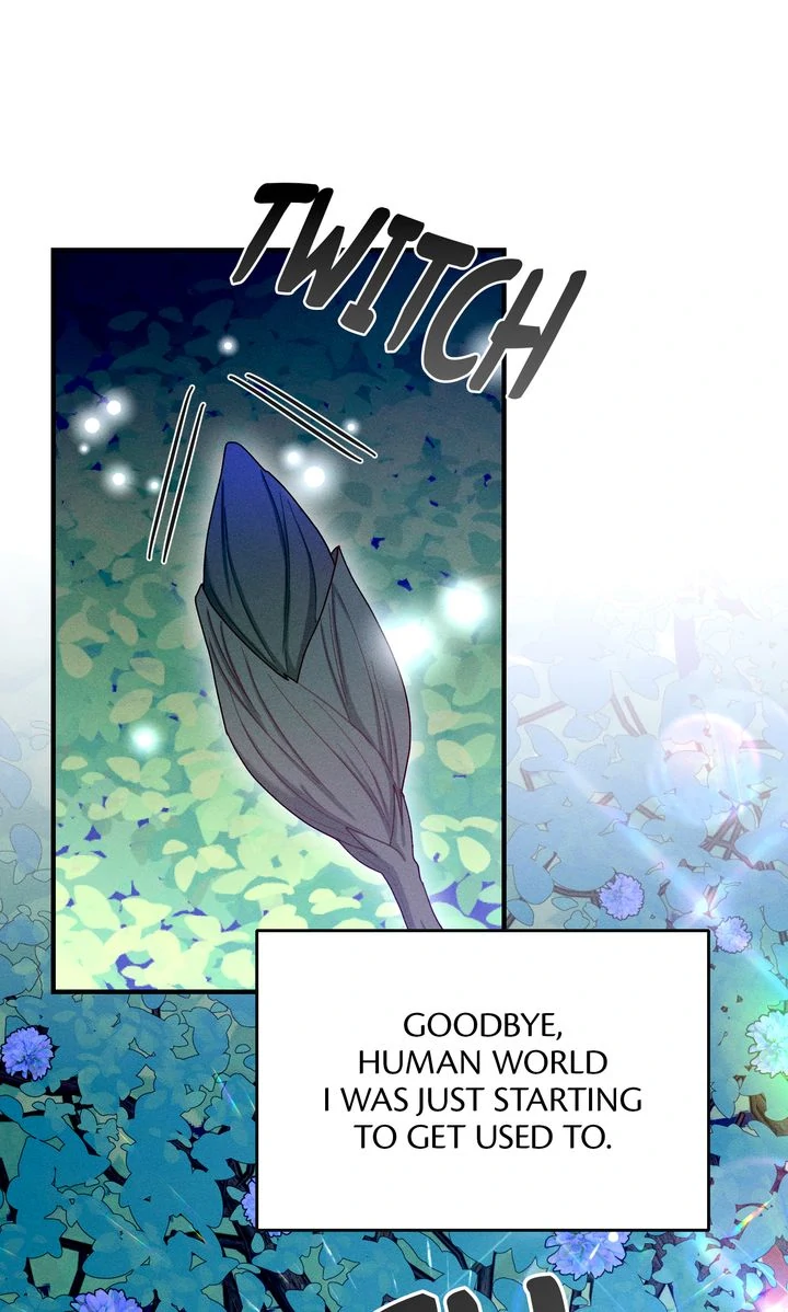 Sorang's Flower Art Shop【Official】 Chapter 40 - page 71