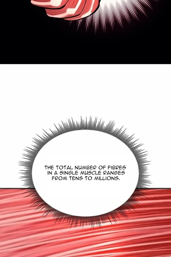 The Earth Lord's School Life Chapter 44 - page 146