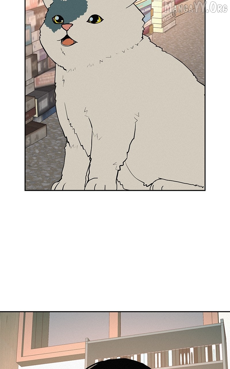 Radiant Rewind Chapter 55 - page 30