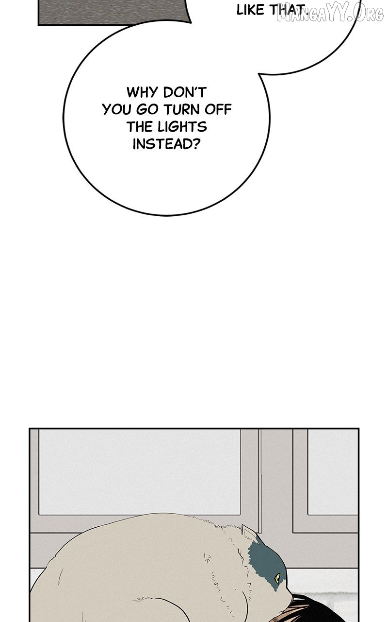 Radiant Rewind Chapter 55 - page 84