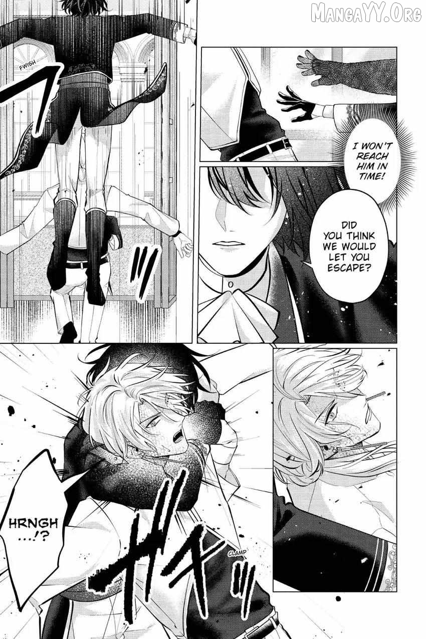 The young lady, who was blessed by the Gorilla God, is adored in the Royal Knight Order. Chapter 33 - page 8