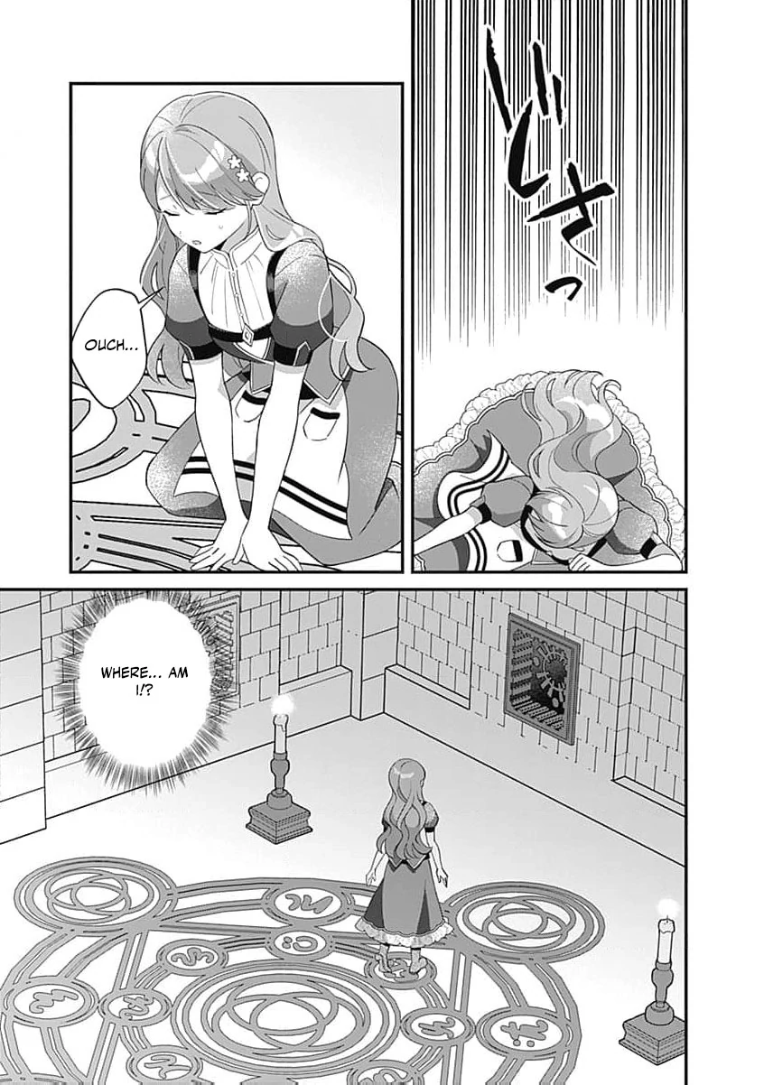 Moto seijo hiroin no watashi, zokuhende wa mobunanoni zen sutētasu (kō kando o fukumu) ga kansuto shite iru ndesuga Chapter 13 - page 17