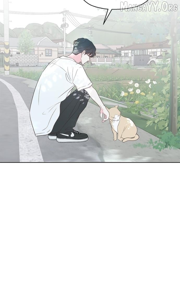 My Fake Love Chapter 35 - page 14