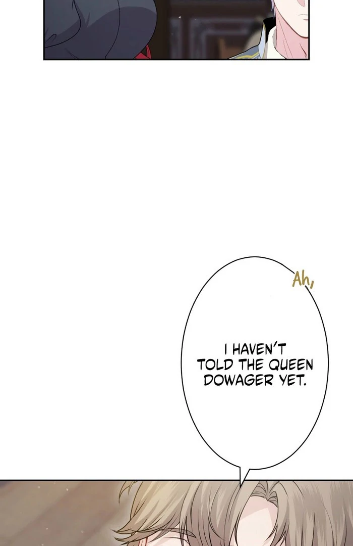 The Overpowered Healing Magic! After Reincarnating, I Am Now Spoiled Rotten by My Former Subordinate Who Became a King. Chapter 45 - page 117