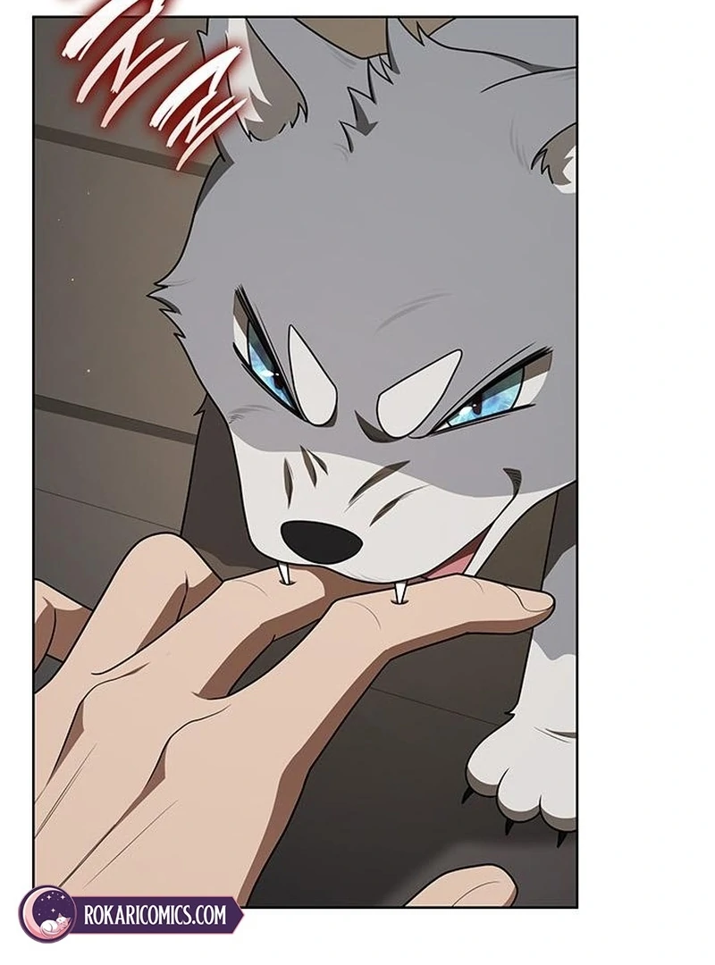 If You Want a Cheeky Sorceress Chapter 26 - page 204