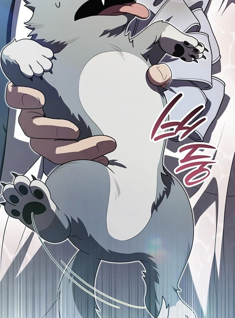 If You Want a Cheeky Sorceress Chapter 26 - page 209