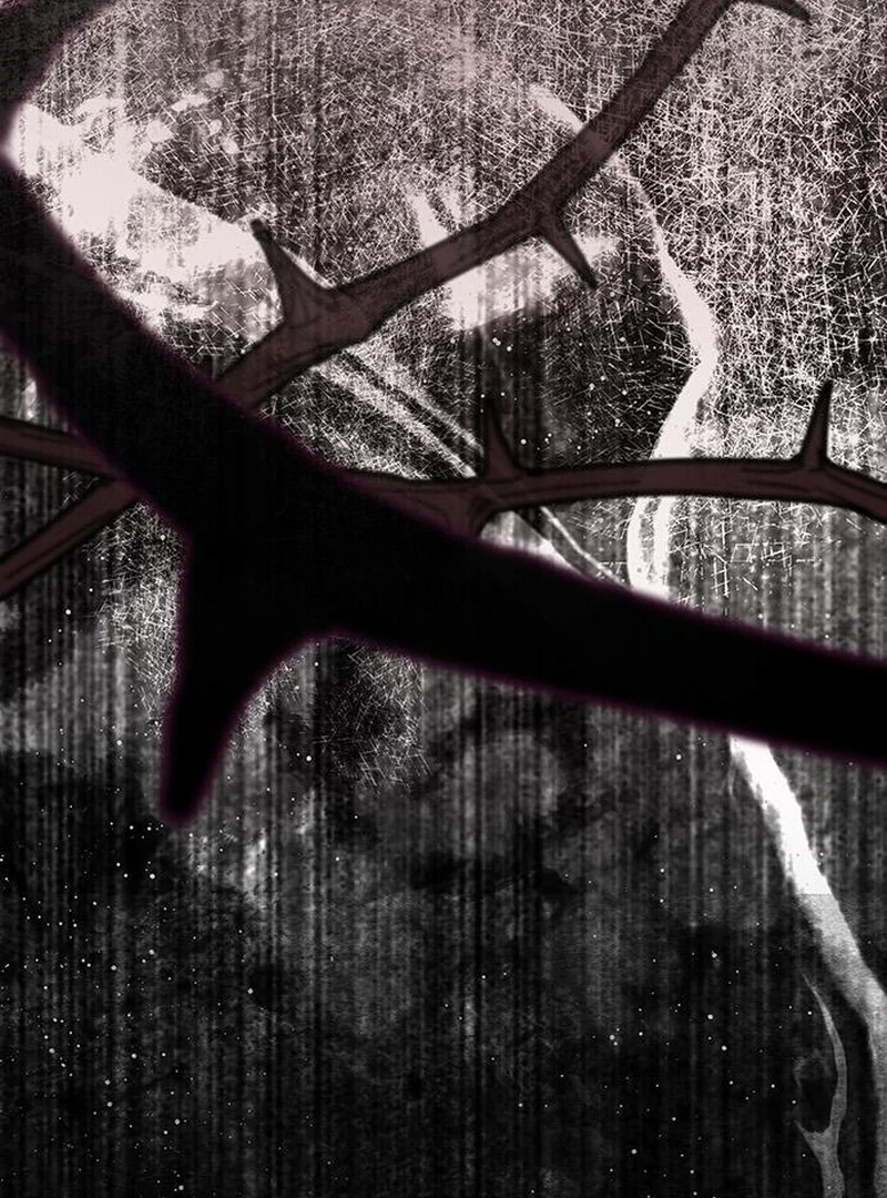 If You Want a Cheeky Sorceress Chapter 26 - page 4