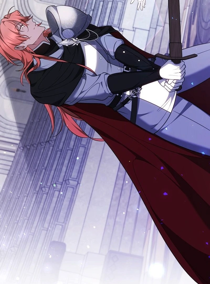 The Reason the Villainess Took Up the Sword Chapter 37 - page 165