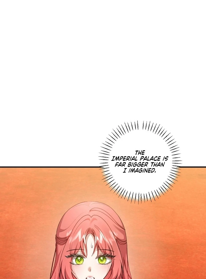 Sub-Male Lead, You Said It Was A Contract Marriage? Chapter 32 - page 72