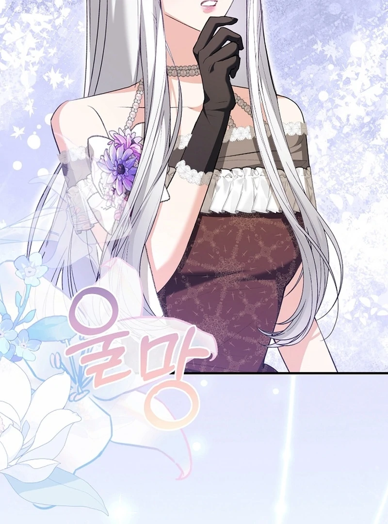 Sub-Male Lead, You Said It Was A Contract Marriage? Chapter 33 - page 17