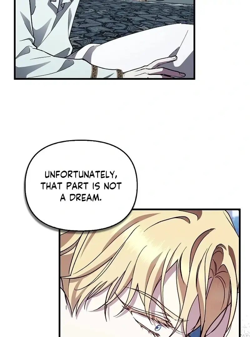 The Countess Who Ran Away Has Returned Chapter 33 - page 101