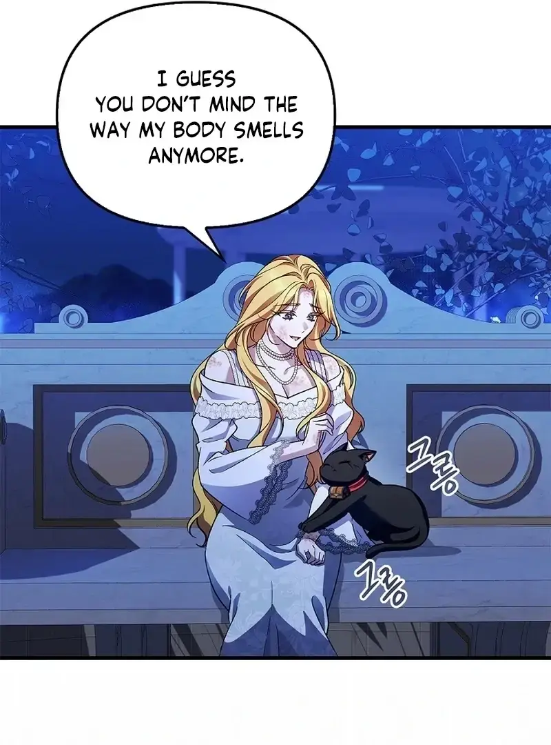 The Countess Who Ran Away Has Returned Chapter 33 - page 45