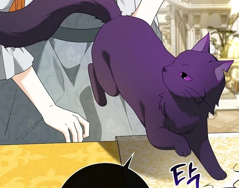 Sub Male Lead, Come to My Bed Chapter 37 - page 8