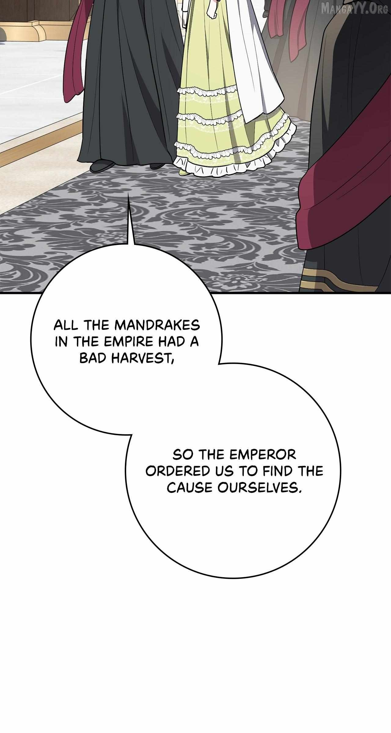 The Beloved Gardener of the World Tree Chapter 24 - page 61