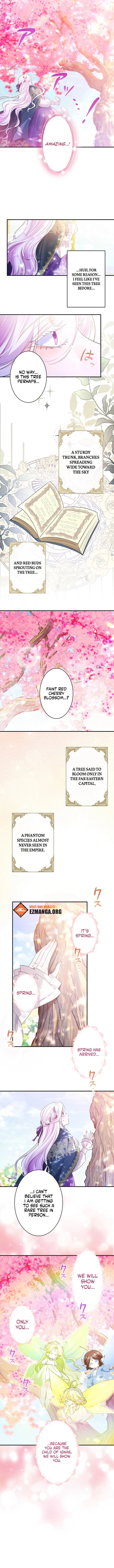 The Quiet Night You Disappeared: Nowhere to Run from the Husband I Divorce Chapter 30 - page 6