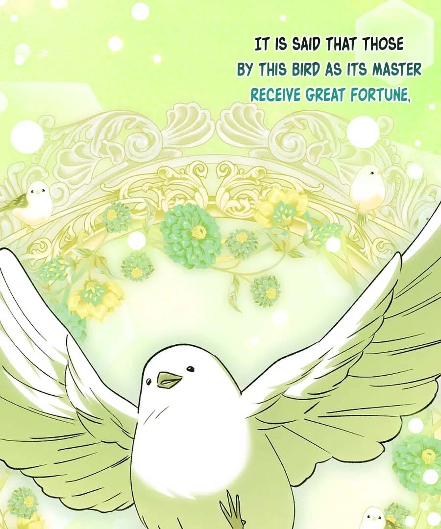 The White Tiger Princess is Not Dangerous Chapter 25 - page 82