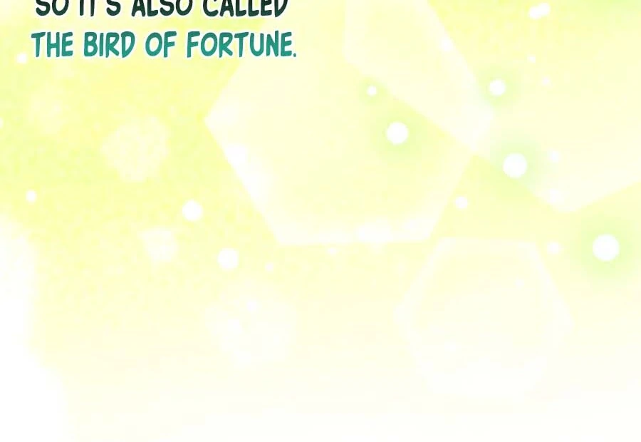 The White Tiger Princess is Not Dangerous Chapter 25 - page 84