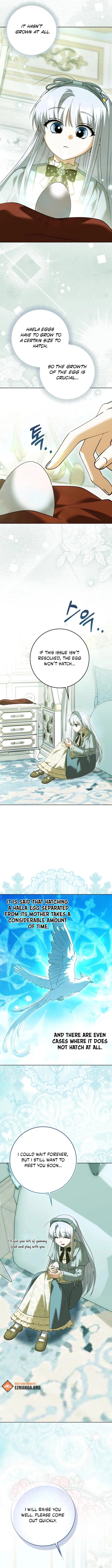 The White Tiger Princess is Not Dangerous Chapter 27 - page 9