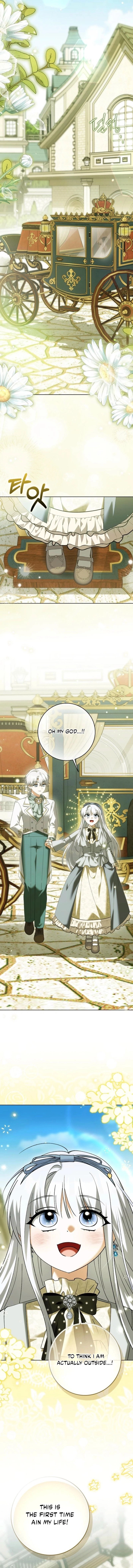 The White Tiger Princess is Not Dangerous Chapter 27 - page 11