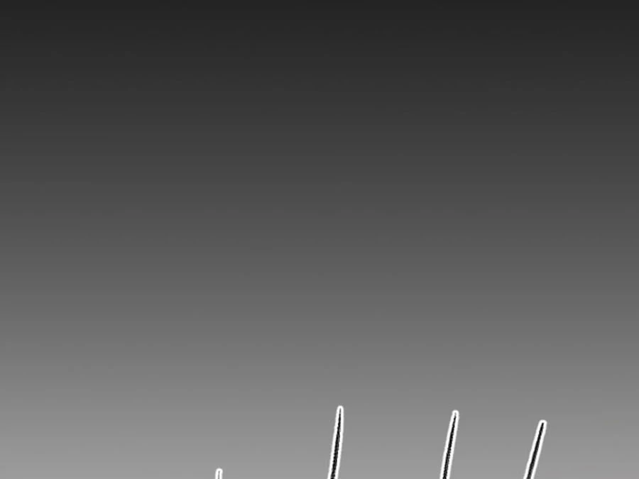 The Solitary Flower ~The Slum Girl Becomes a Princess and is Single-Mindedly Adored~ Chapter 11 - page 4