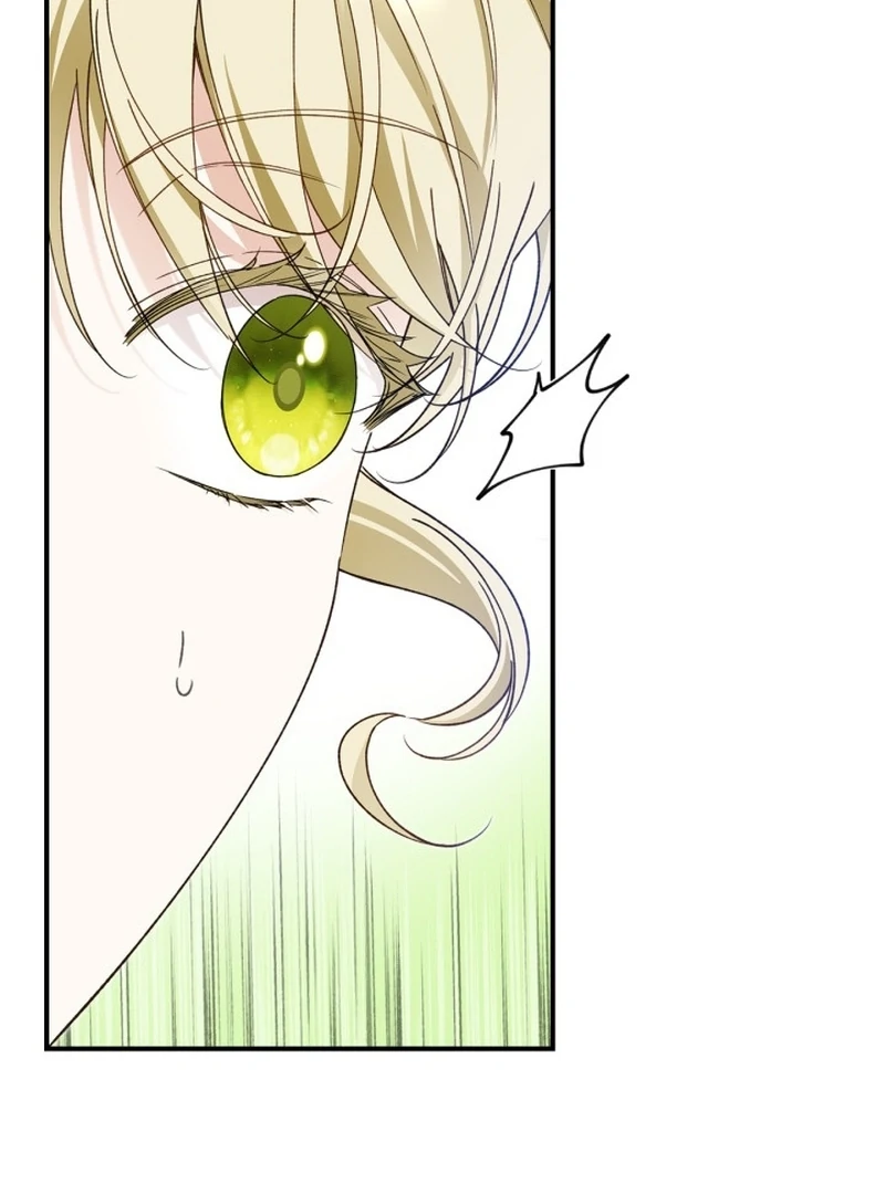 I Got Engaged To The Blind Duke Chapter 20 - page 89