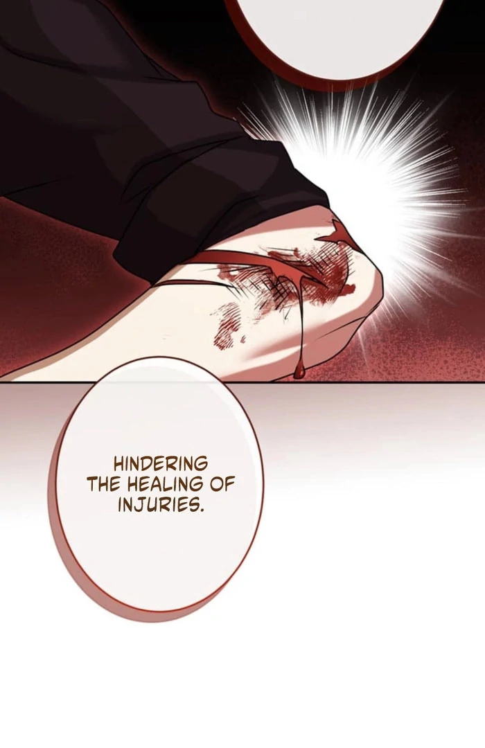 You Don't Mind If I Destroy This Kingdom, Right? The Pure White Saintess Vows Revenge Chapter 9 - page 15