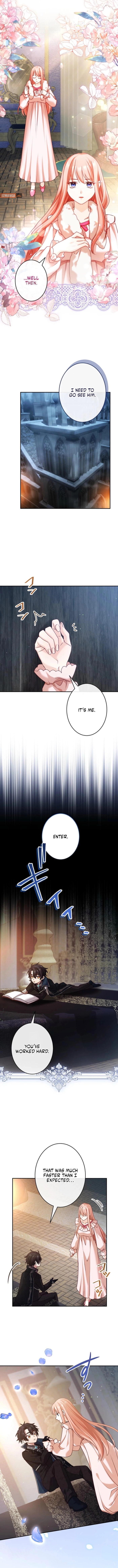 You Don't Mind If I Destroy This Kingdom, Right? The Pure White Saintess Vows Revenge Chapter 10 - page 8