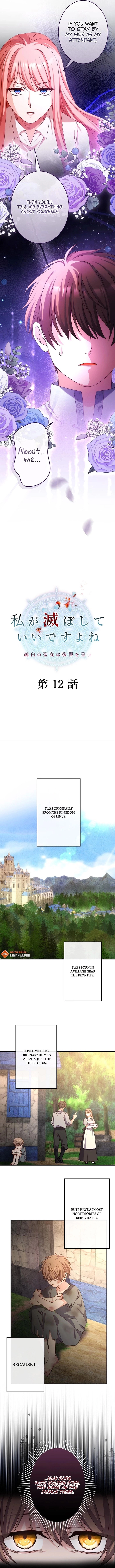 You Don't Mind If I Destroy This Kingdom, Right? The Pure White Saintess Vows Revenge Chapter 12 - page 3