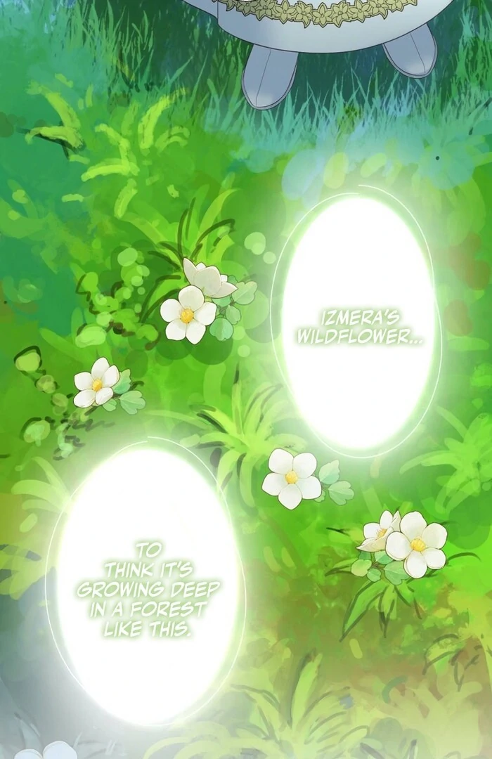 A New Husband, Please! The Forgotten Wife Who Barely Appeared in the Original Story Fights for a Happy Ending. Chapter 11 - page 96