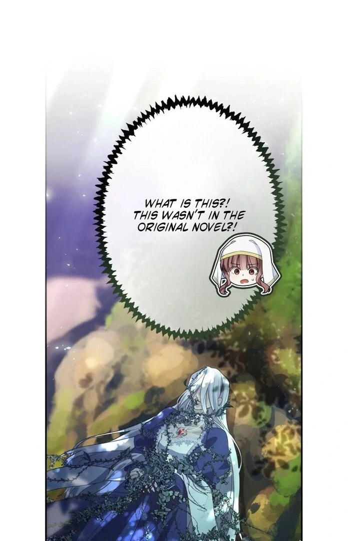 A New Husband, Please! The Forgotten Wife Who Barely Appeared in the Original Story Fights for a Happy Ending. Chapter 12 - page 11