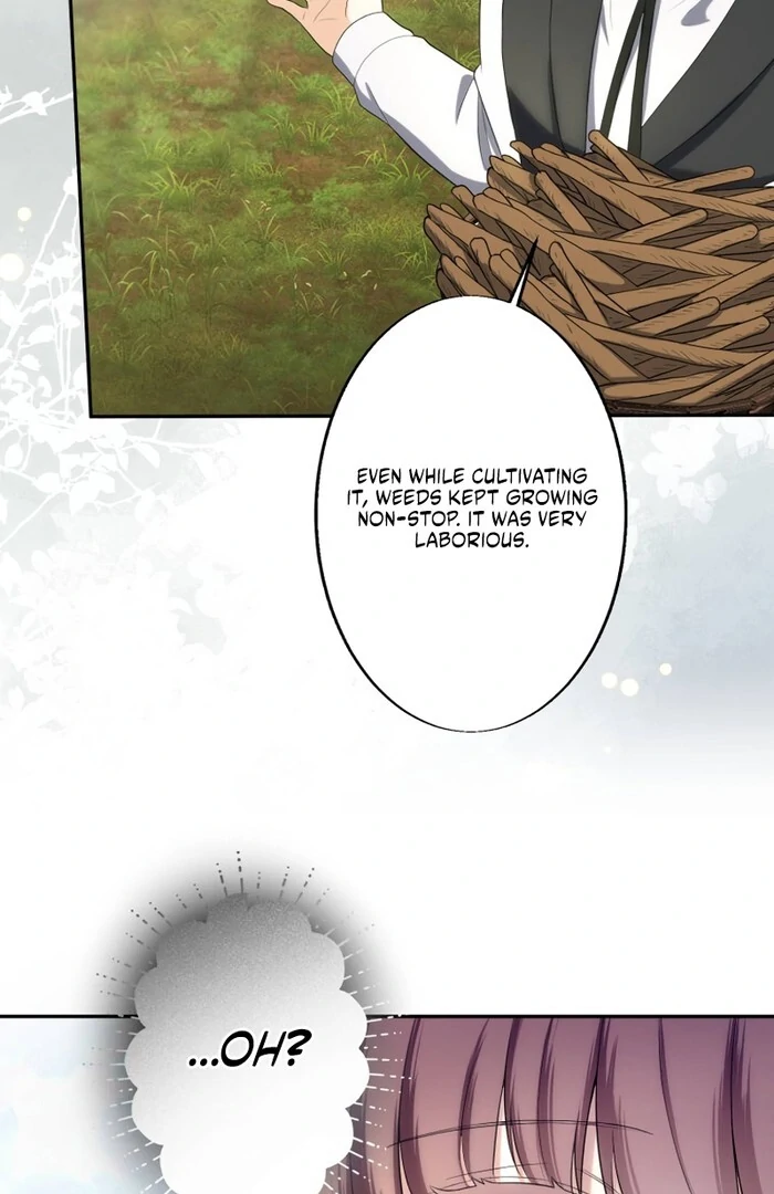 A New Husband, Please! The Forgotten Wife Who Barely Appeared in the Original Story Fights for a Happy Ending. Chapter 14 - page 44