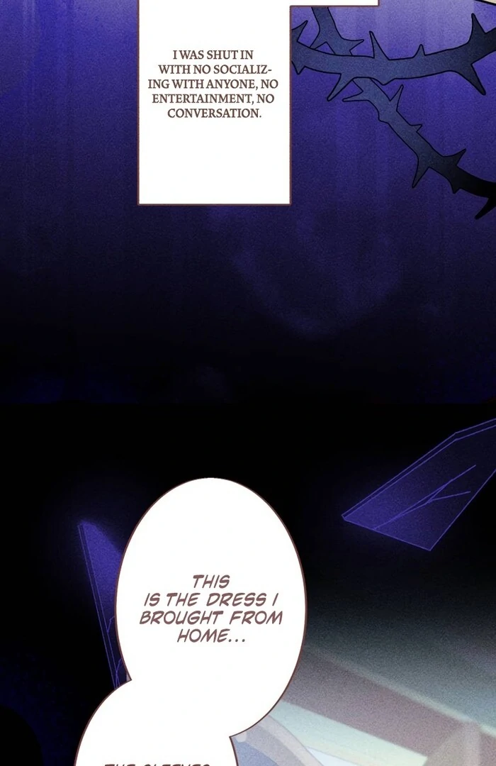A New Husband, Please! The Forgotten Wife Who Barely Appeared in the Original Story Fights for a Happy Ending. Chapter 2 - page 15