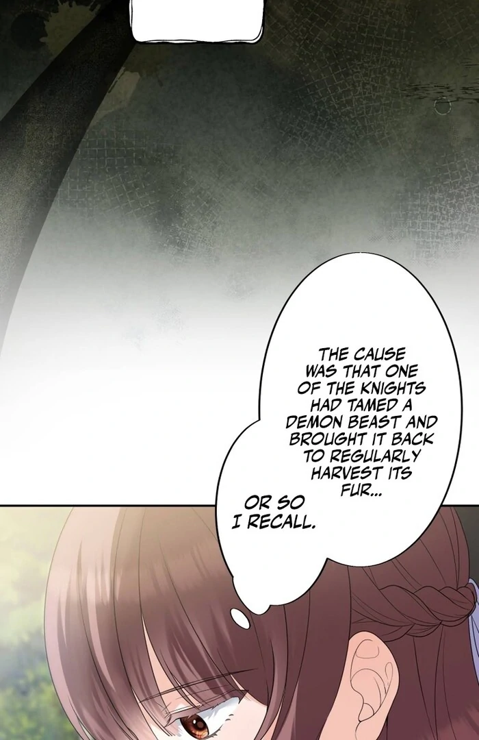 A New Husband, Please! The Forgotten Wife Who Barely Appeared in the Original Story Fights for a Happy Ending. Chapter 3 - page 14