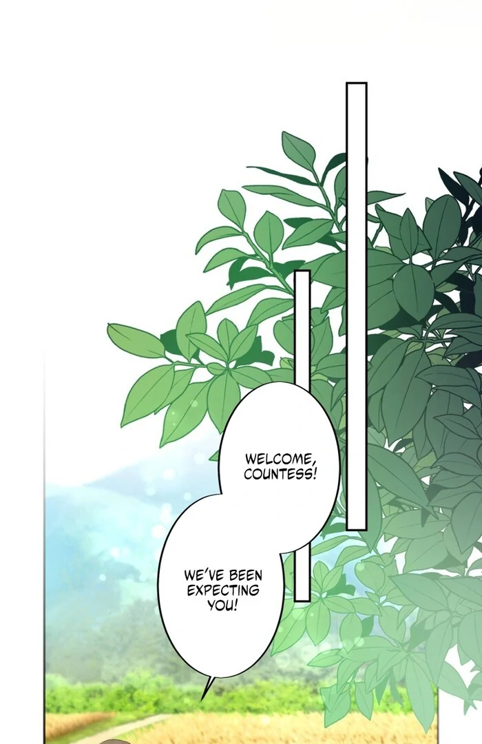 A New Husband, Please! The Forgotten Wife Who Barely Appeared in the Original Story Fights for a Happy Ending. Chapter 8 - page 2