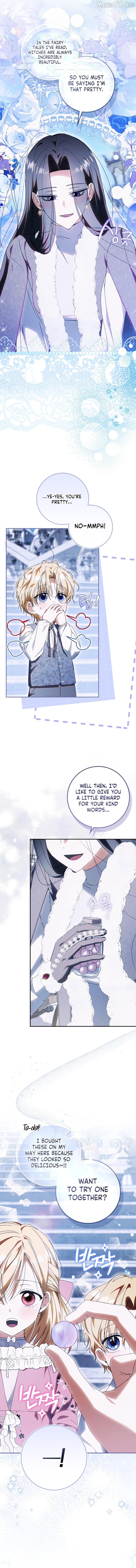 My Husband Is My Ultimate Bias, but I Think He Wants a Divorce Chapter 16 - page 5