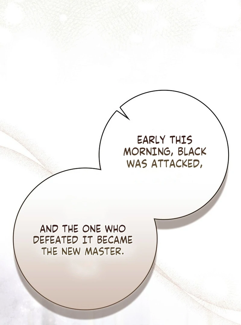 My Husband Is My Ultimate Bias, but I Think He Wants a Divorce Chapter 22 - page 91