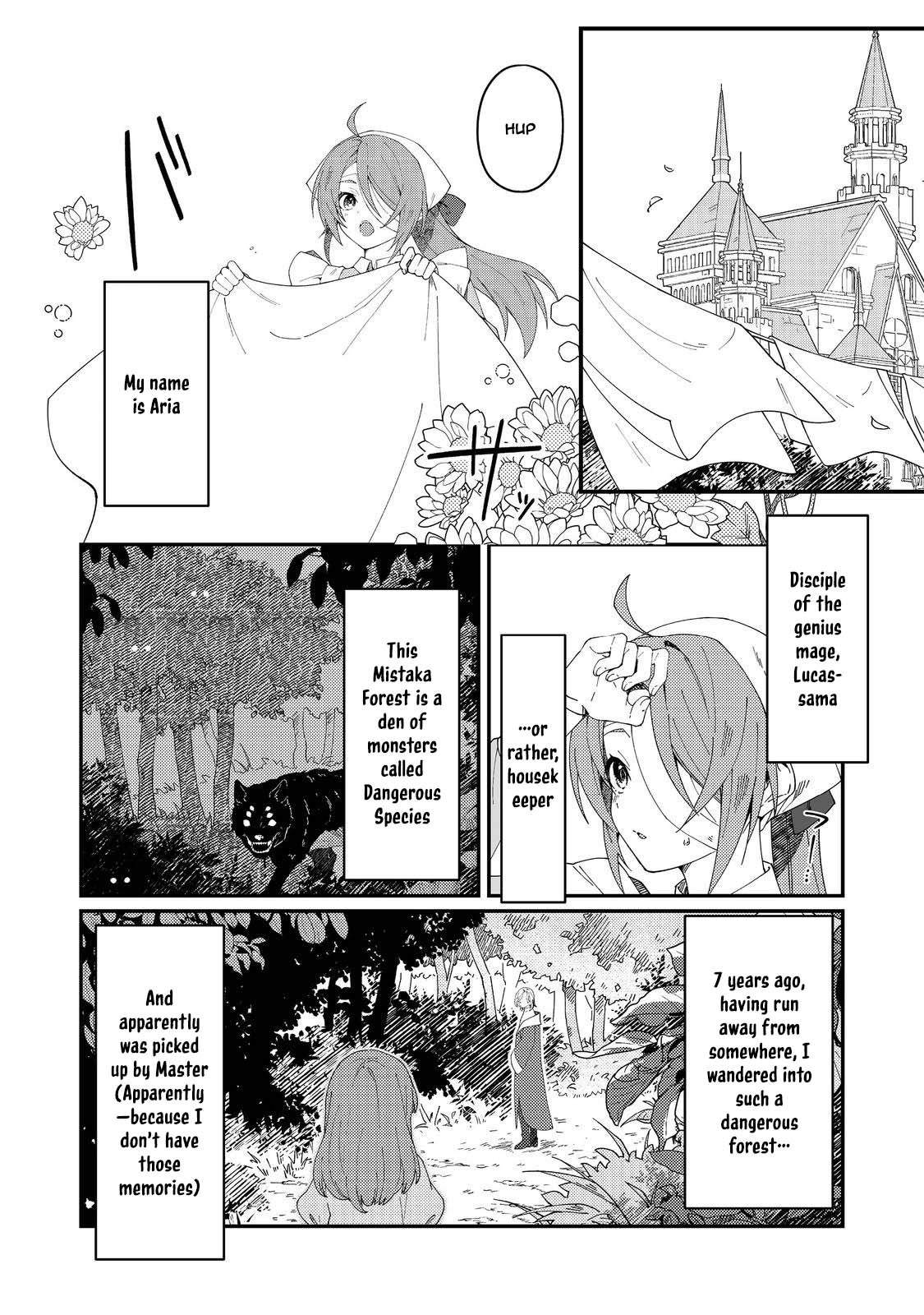 The Beautiful Mage: Finding My Lazy Master’s Missing Socks Is a Daily Struggle Chapter 1 - page 11