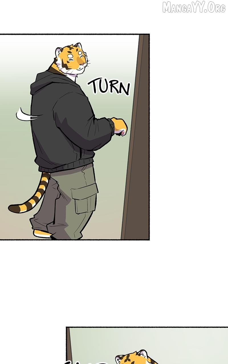 Mr. Tiger's Snacks Chapter 29 - page 9