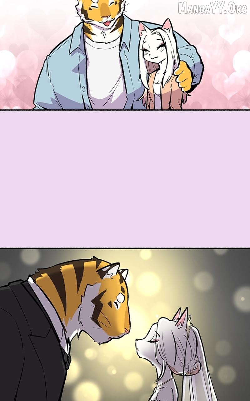 Mr. Tiger's Snacks Chapter 30 - page 26