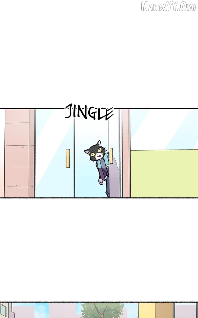 Mr. Tiger's Snacks Chapter 33 - page 6