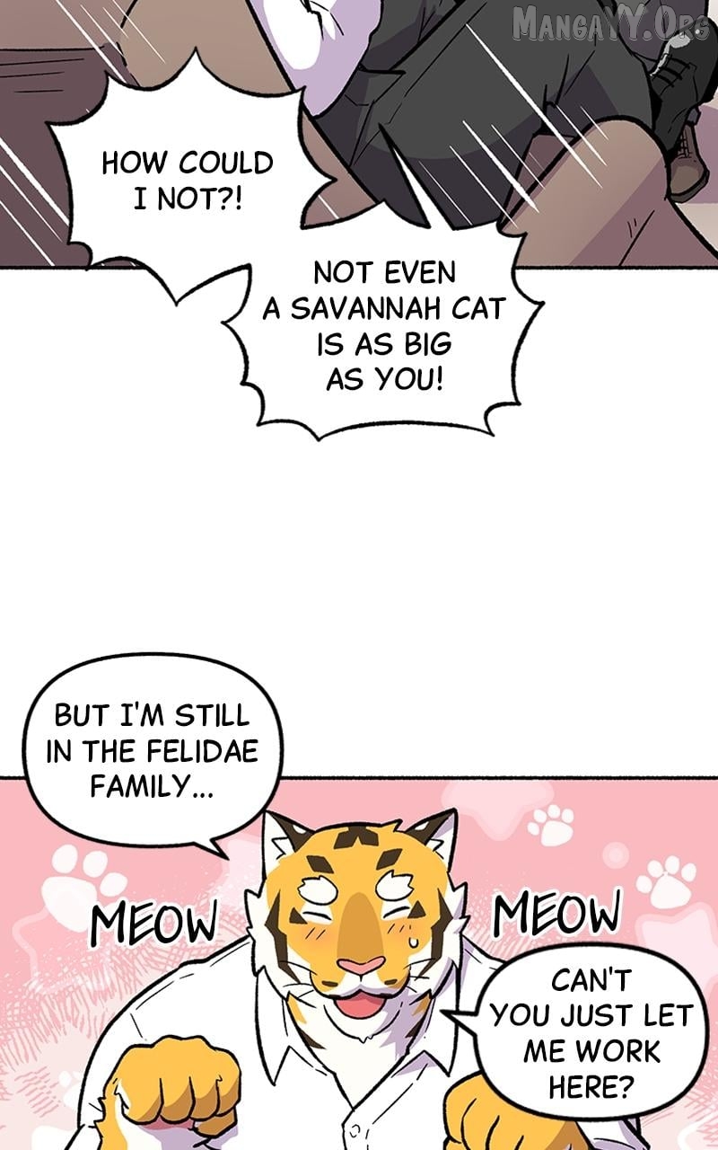Mr. Tiger's Snacks Chapter 1 - page 43