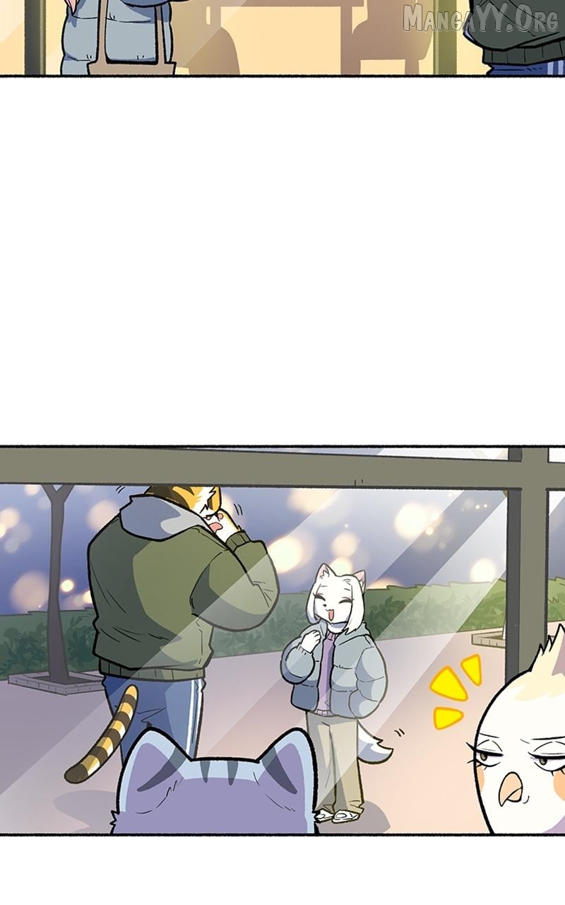 Mr. Tiger's Snacks Chapter 19 - page 36