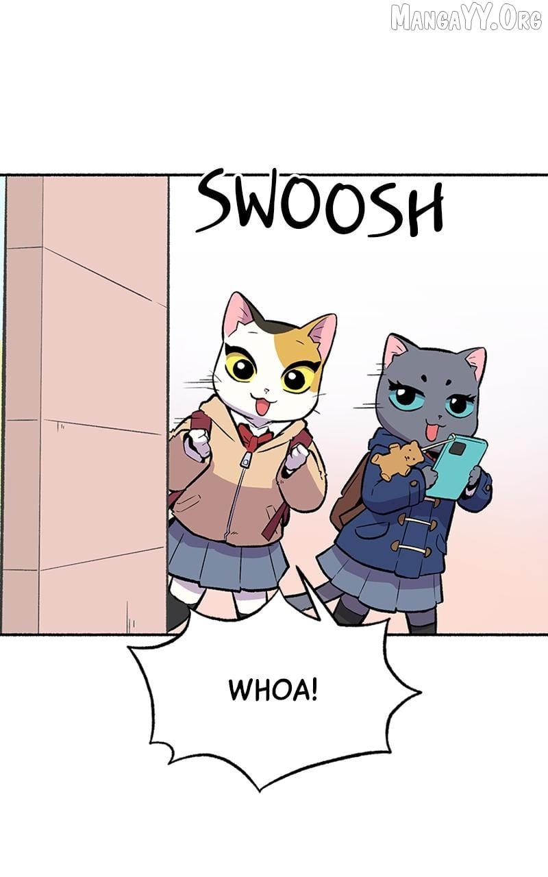 Mr. Tiger's Snacks Chapter 23 - page 28