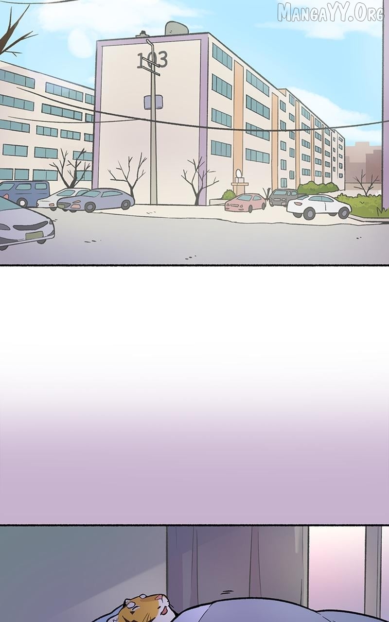 Mr. Tiger's Snacks Chapter 24 - page 42