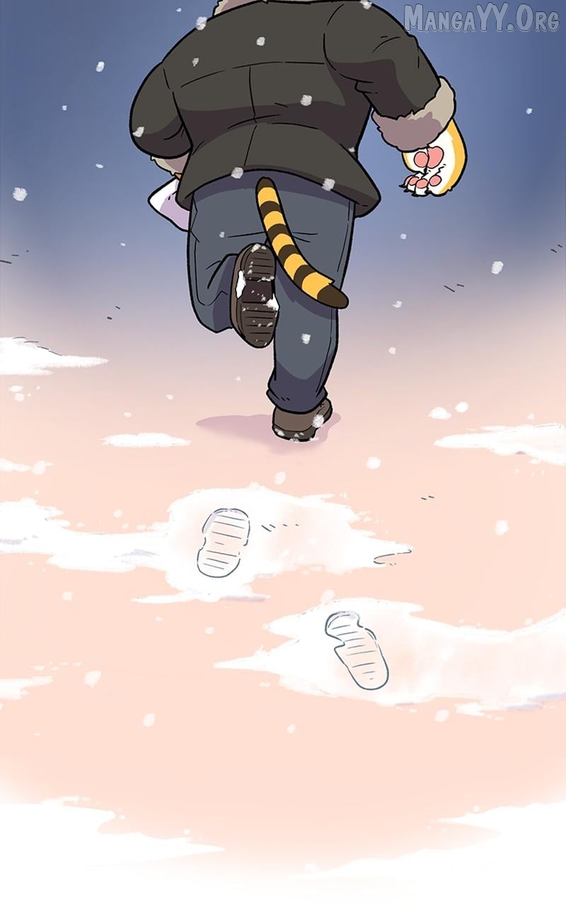 Mr. Tiger's Snacks Chapter 3 - page 67