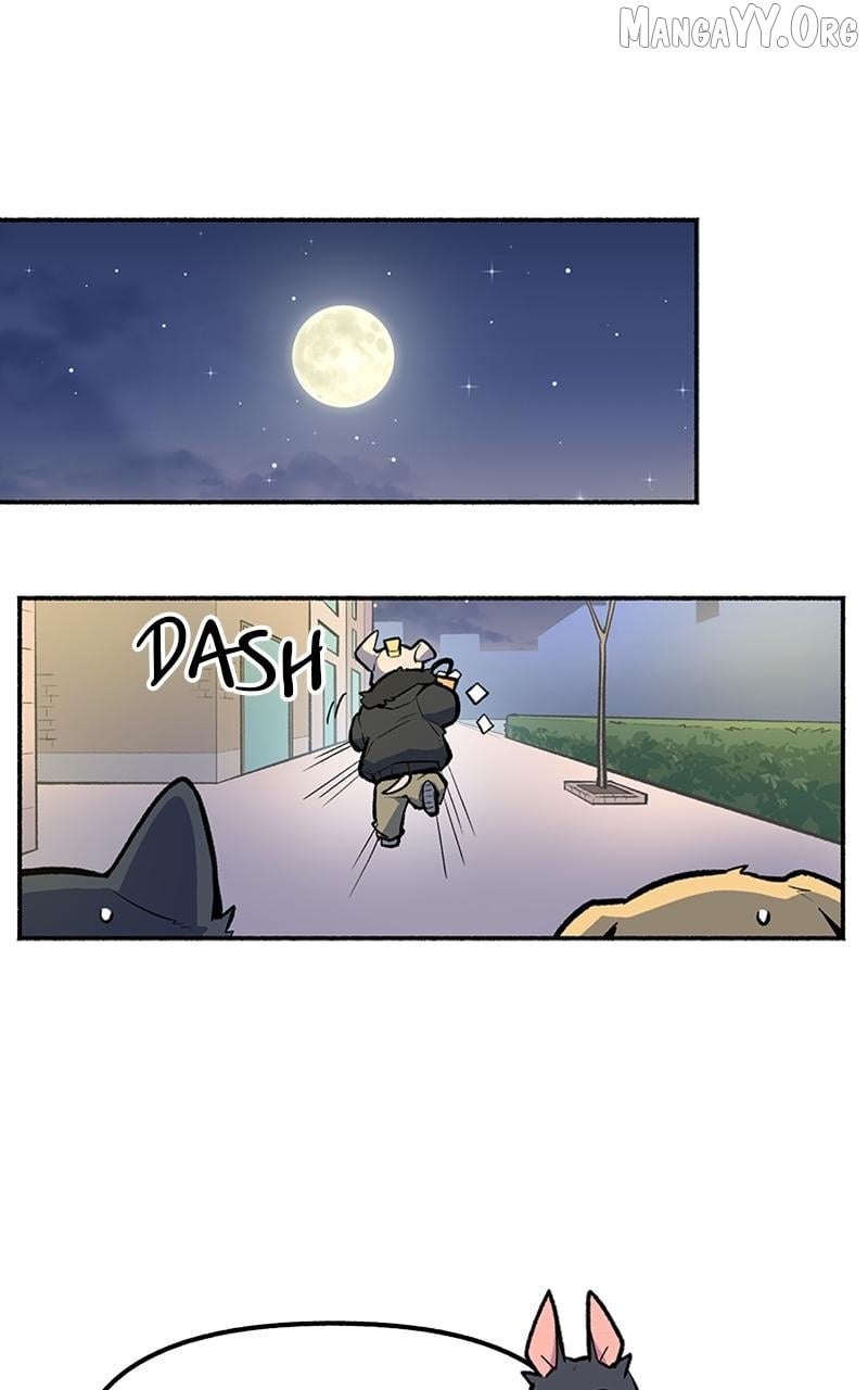 Mr. Tiger's Snacks Chapter 25 - page 50