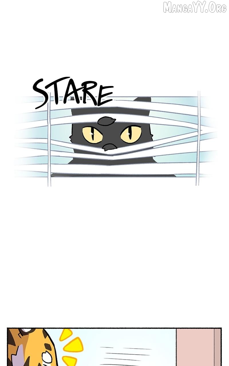 Mr. Tiger's Snacks Chapter 4 - page 30