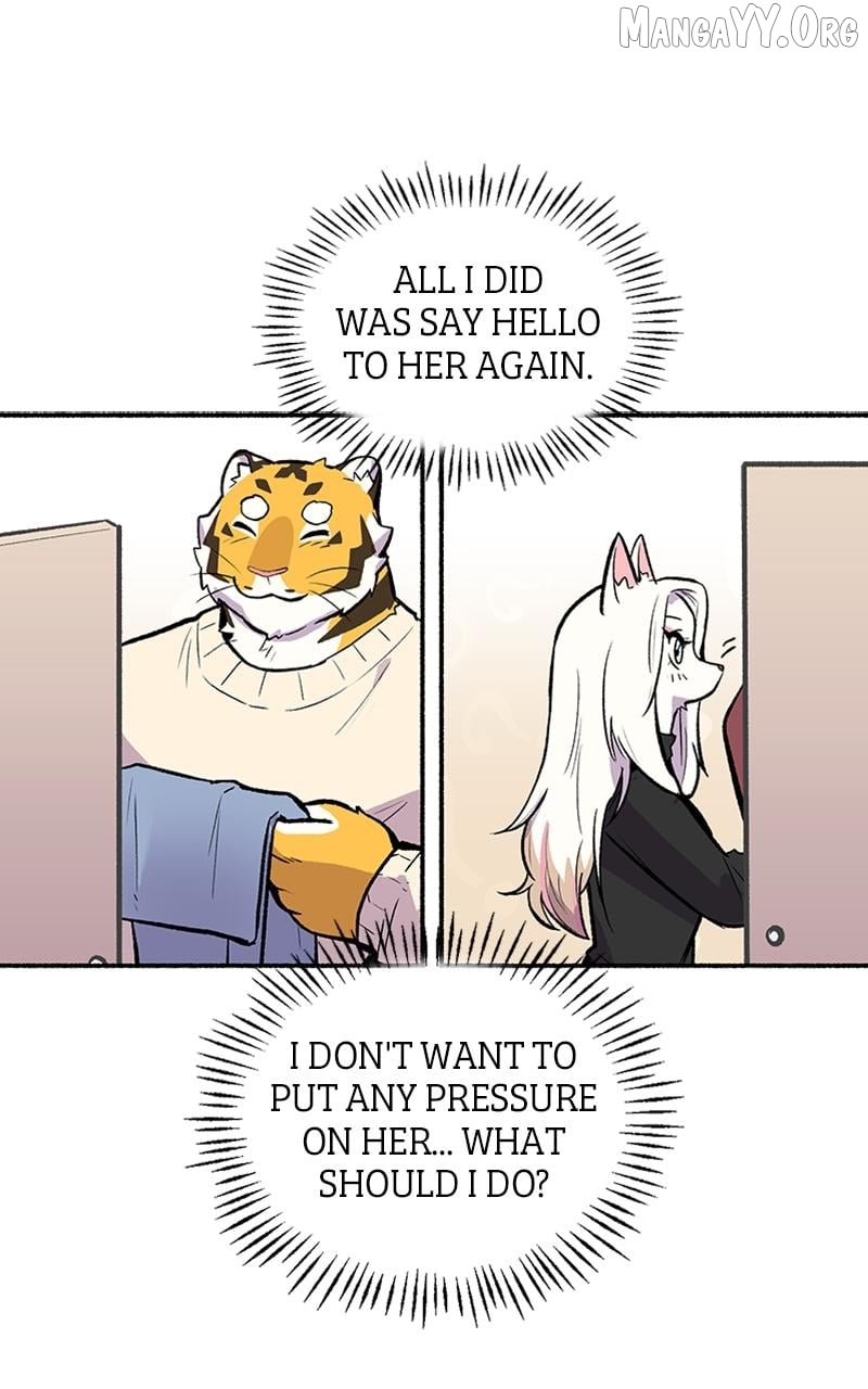 Mr. Tiger's Snacks Chapter 26 - page 1