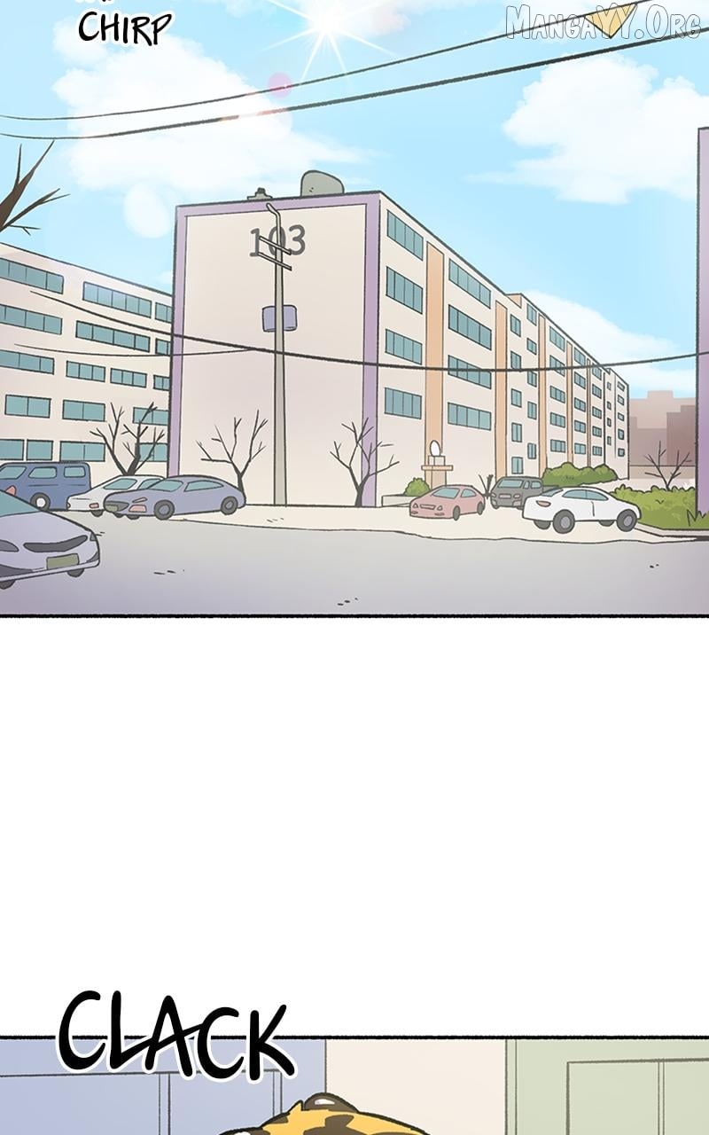 Mr. Tiger's Snacks Chapter 5 - page 18